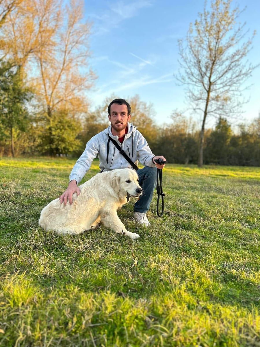 Profil de Deynis